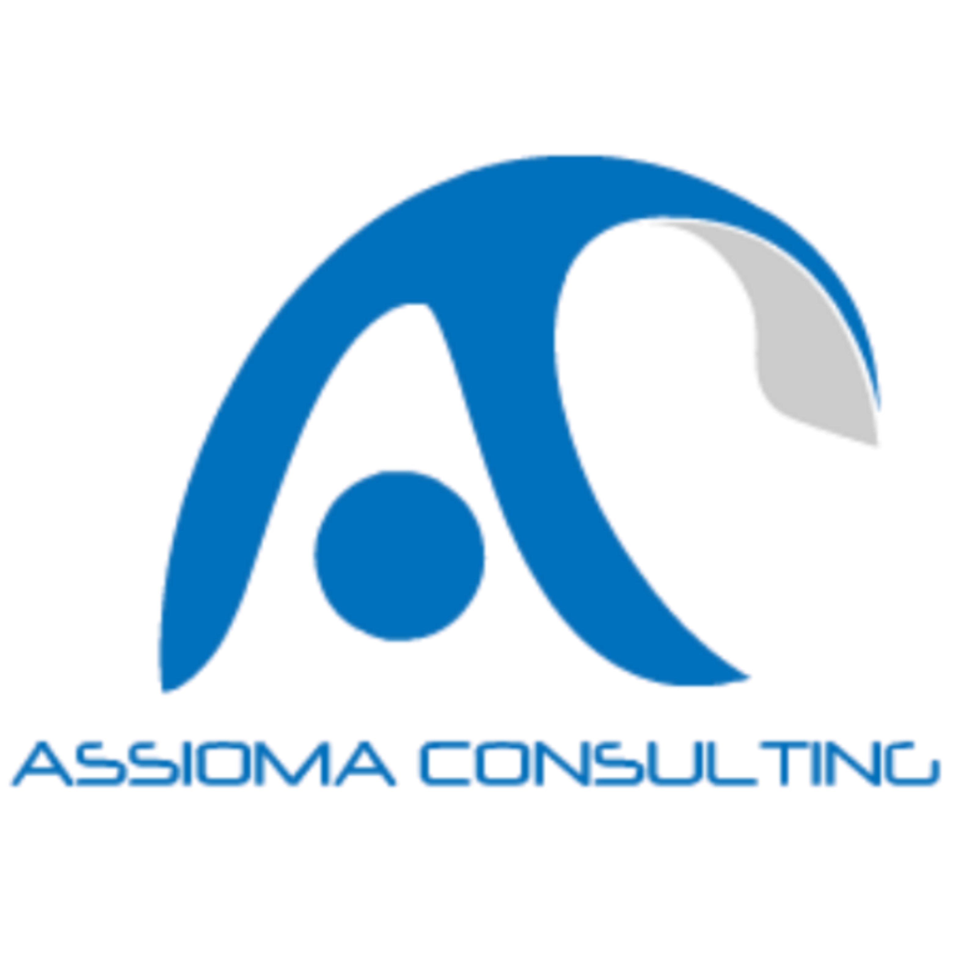 Studio Commercialisti Associati Pescara: Assioma Consulting STP a RL